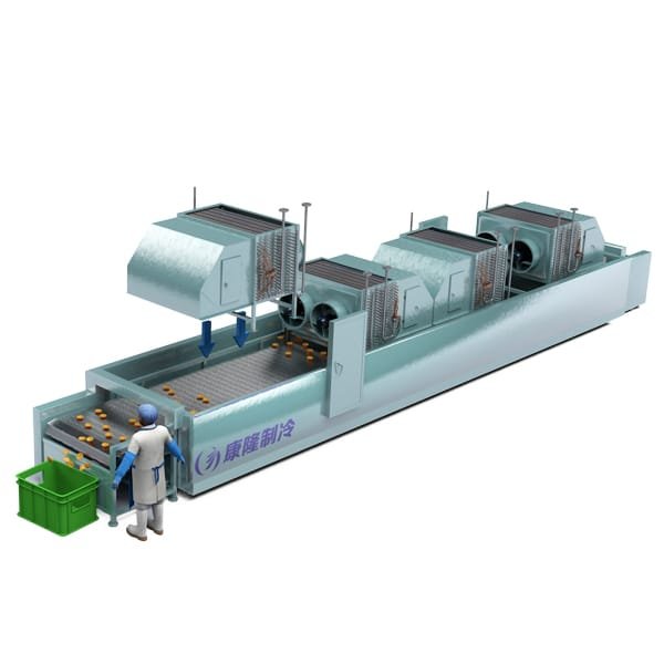 Mesh Belt Tunnel Freezer structure reference