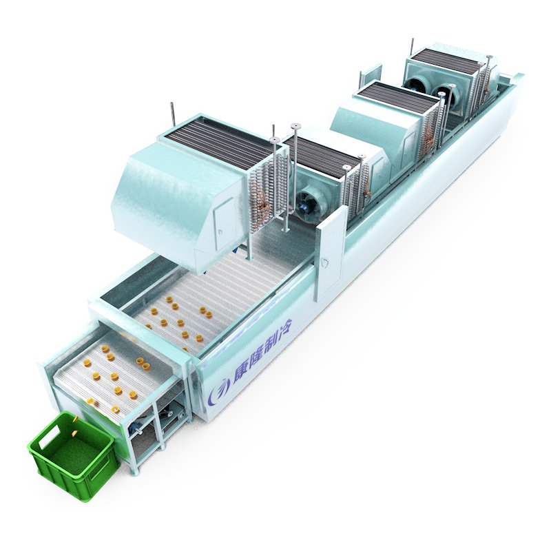 Mesh Belt Tunnel Freezer application reference